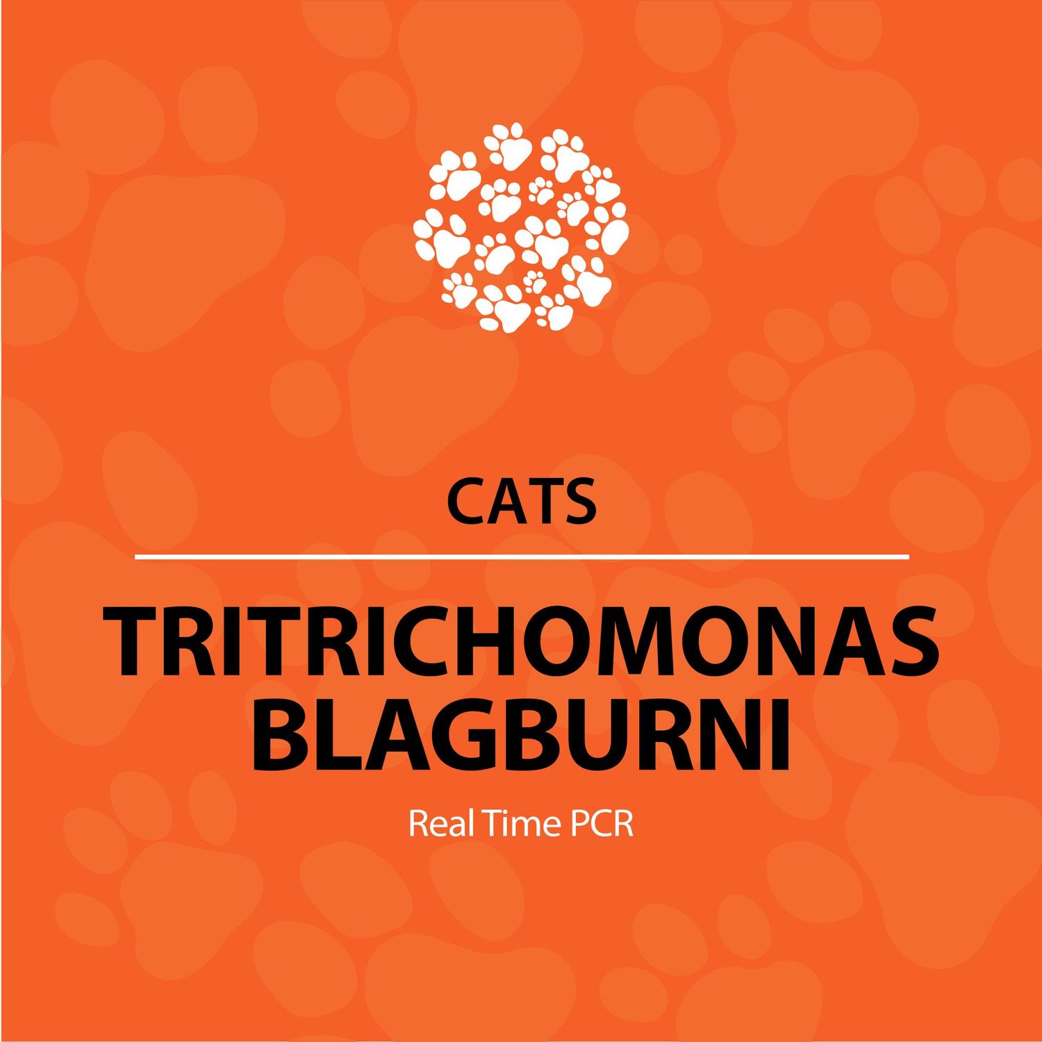 Tritrichomonas Real-Time PCR (qPCR) (Cats)