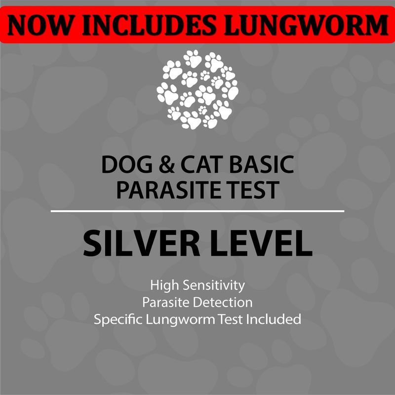 Dog and Cat Silver Test