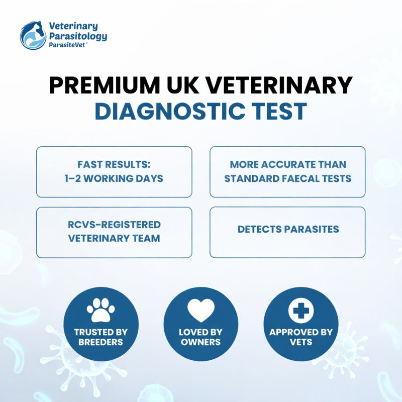 Dog and Cat Silver Test