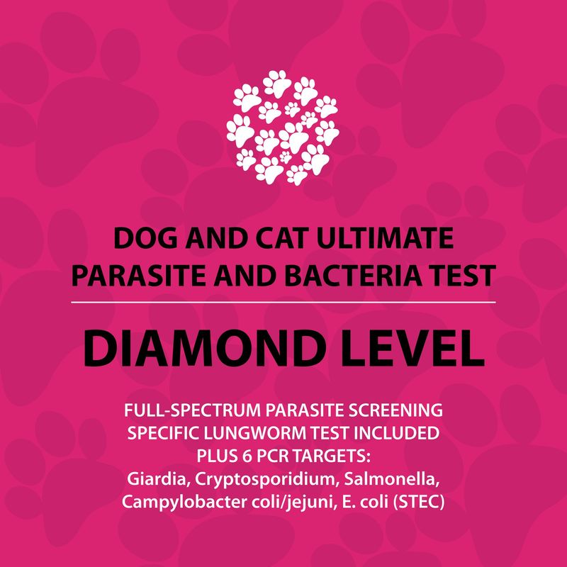 Dog and Cat Diamond Test (qPCR)