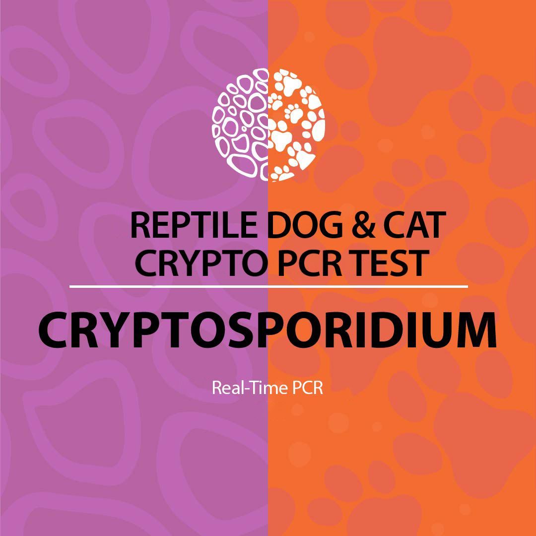Cryptosporidium Real-Time PCR (qPCR)