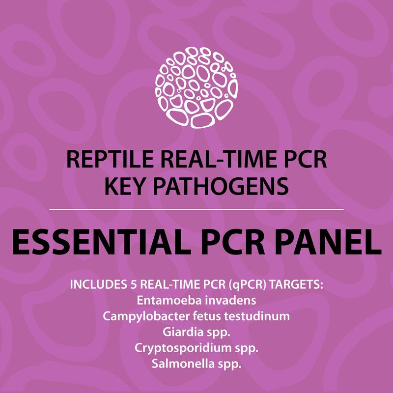 Reptile Essential PCR Panel (qPCR)