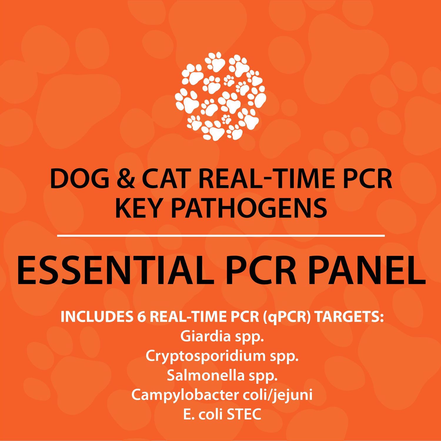 Dog and Cat Essential PCR Panel (qPCR)
