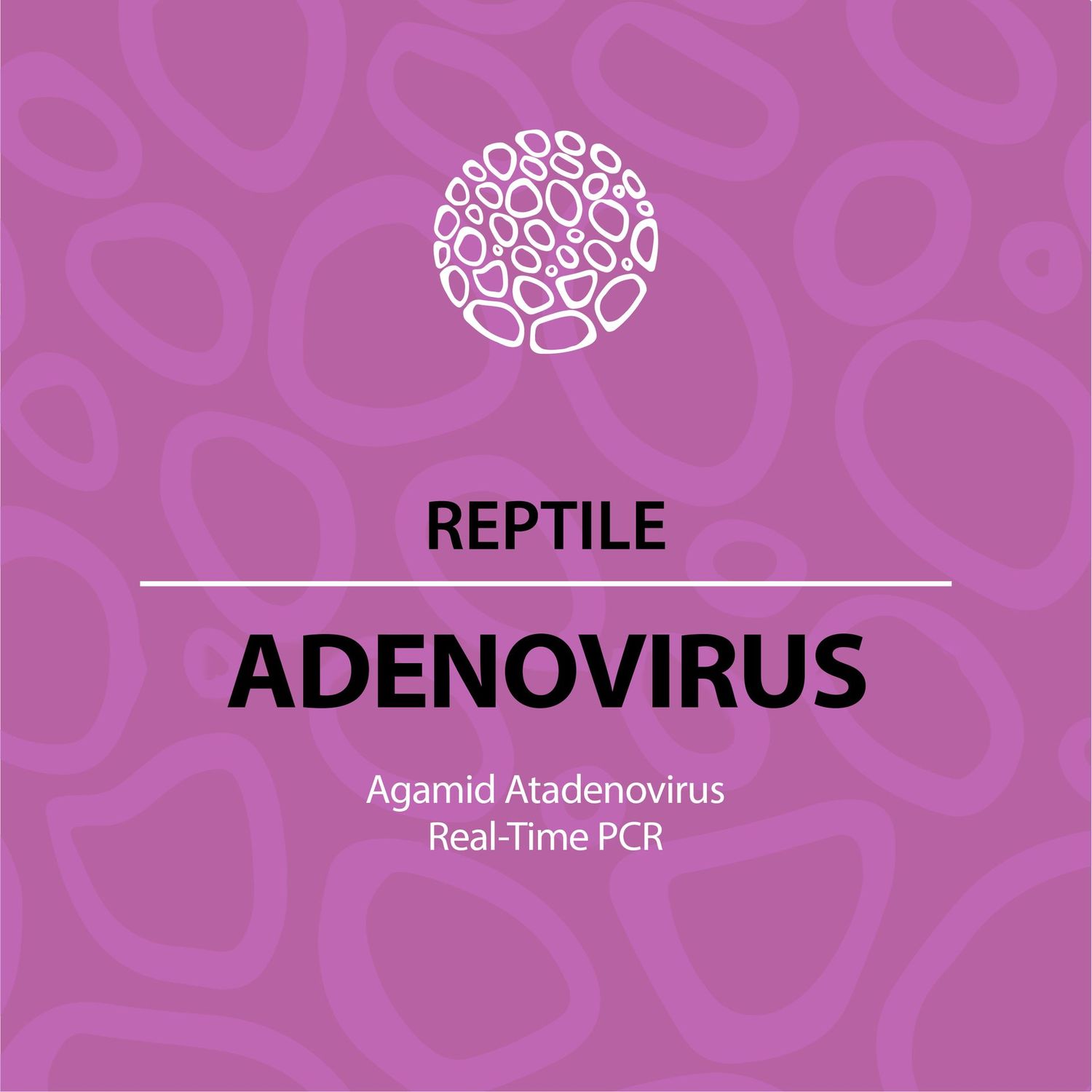 Agamid Adenovirus (qPCR) Agamid Adenovirus (qPCR)