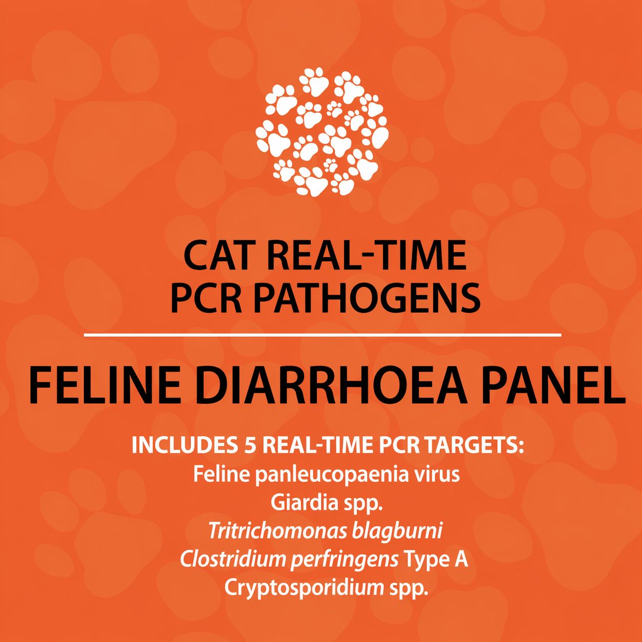 Feline Diarrhoea PCR Panel (qPCR)