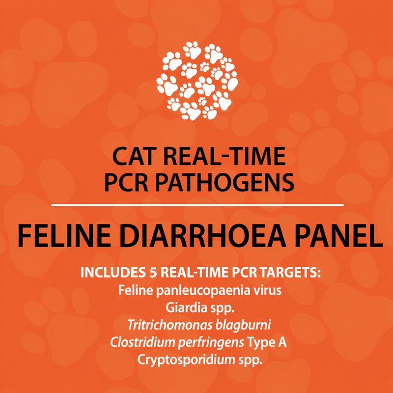 Feline Diarrhoea PCR Panel (qPCR)