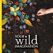 Your Wild Imagination