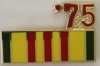 VIETNAM YEAR PIN 75
