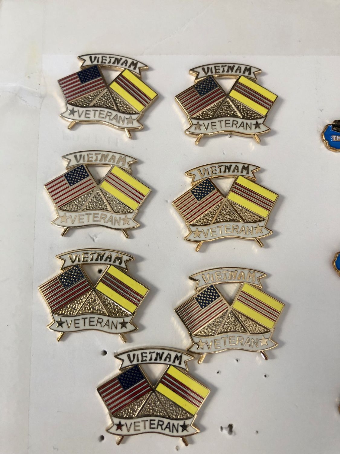 Vietnam Veteran Dual Flag pin