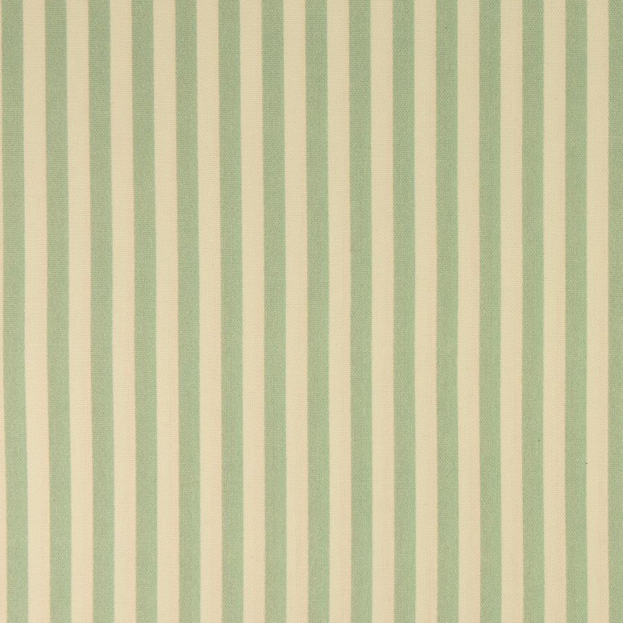 RAYAS MENTA 70 x 50cms.