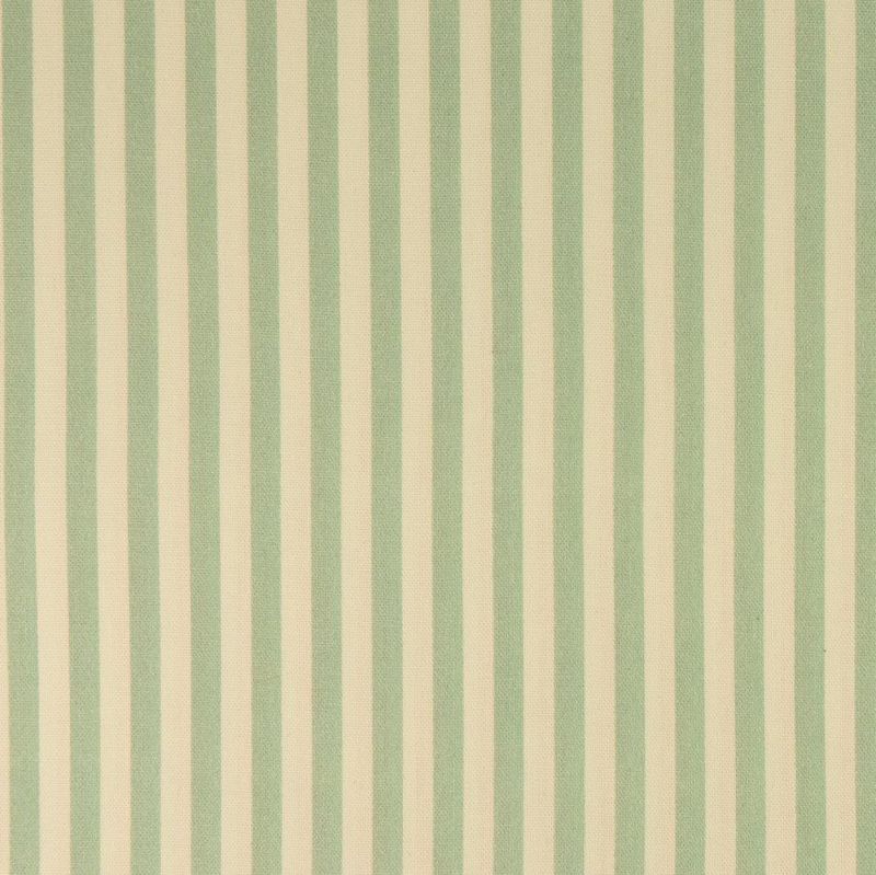RAYAS MENTA 70 x 50cms.
