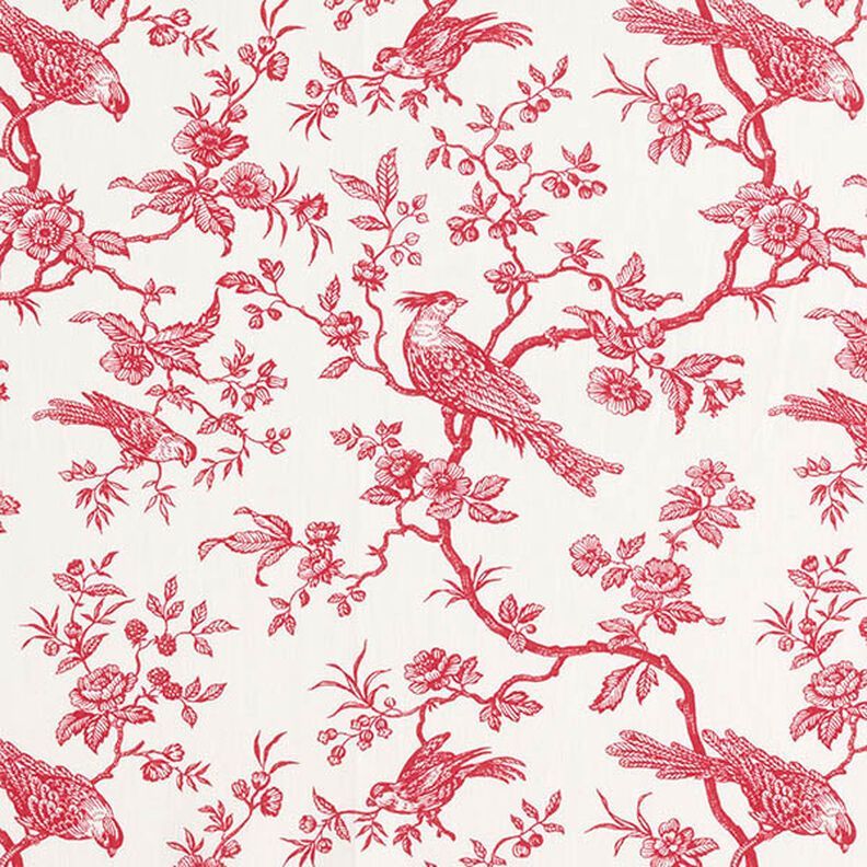 PÁJAROS 70 x 50cms.