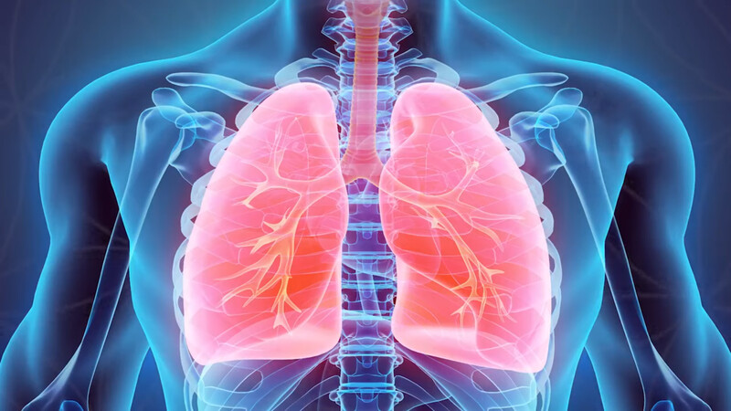Lungs - 220 Hz - Organ Series