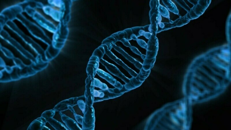 DNA Series