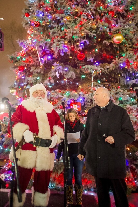 Tree &amp; Holiday Lights Sponsor