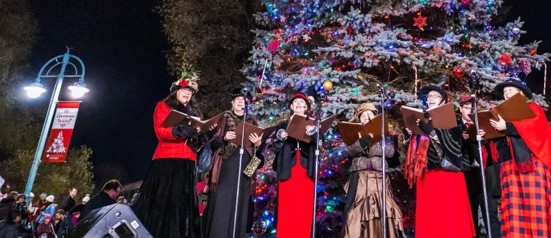 Silver Level Sponsorship