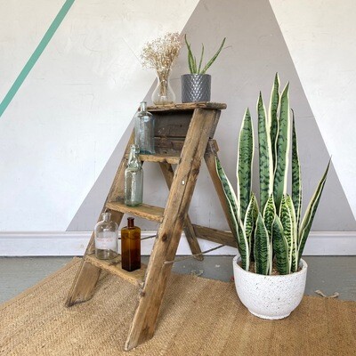 Rustic Pine Step Ladders Vintage Old Painted 1950s Antique