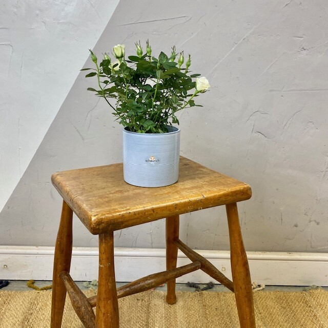 Vintage Farmhouse Stool Rustic Seat Bedside Plant Stand