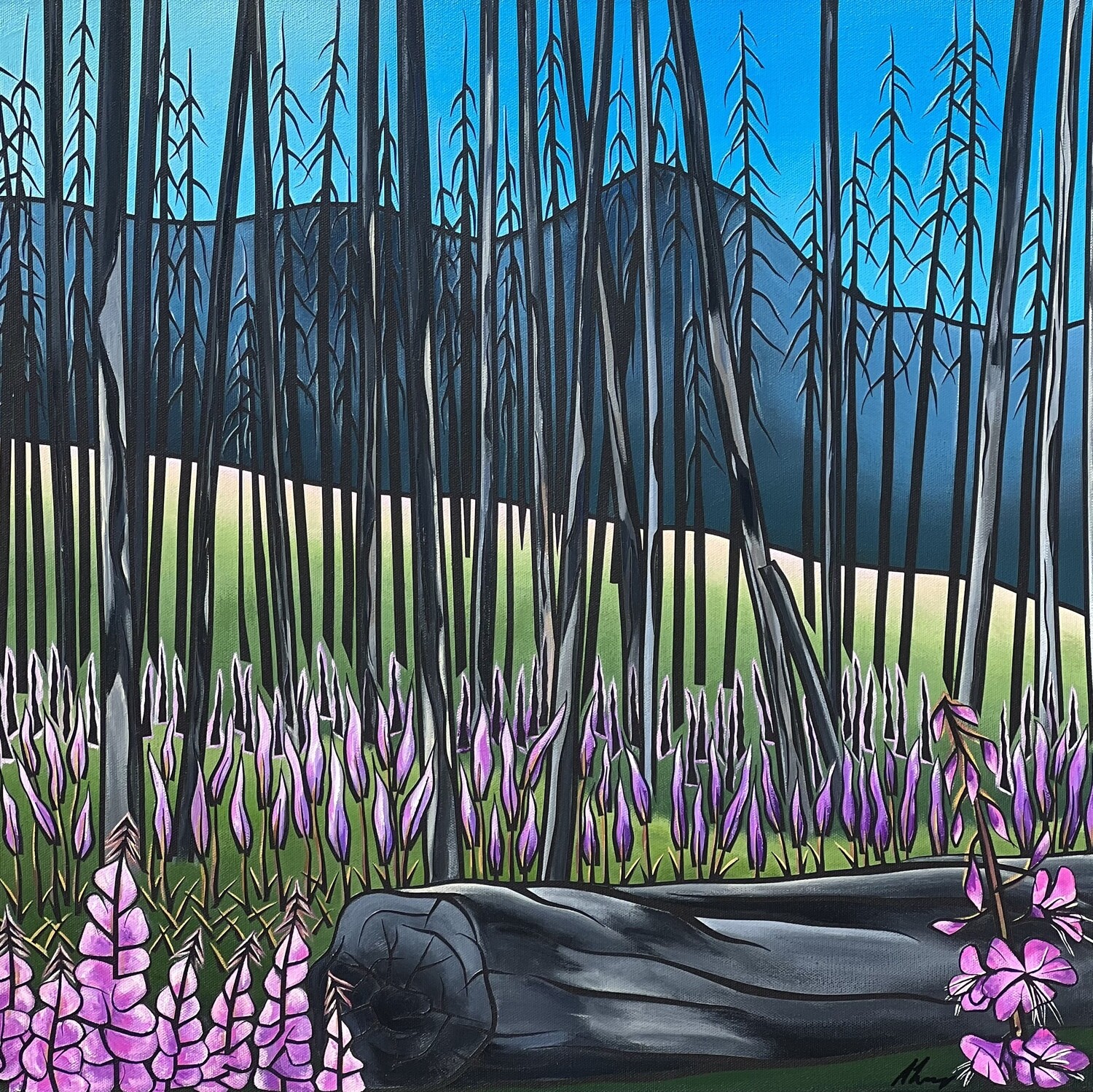 Fireweed Forever ~ 24”x24”