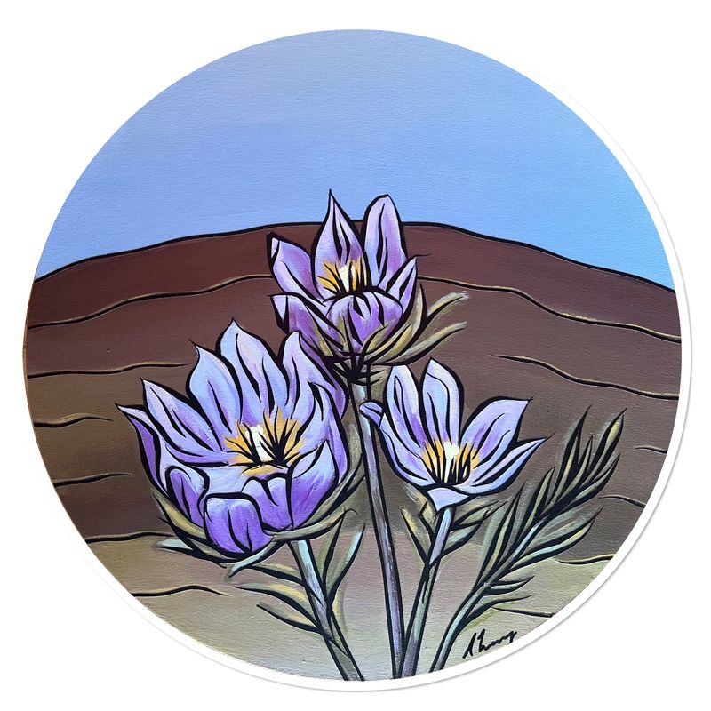 Manitoba Prairie Crocus