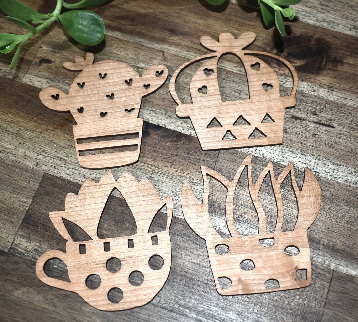 Succulent Timber Coasters