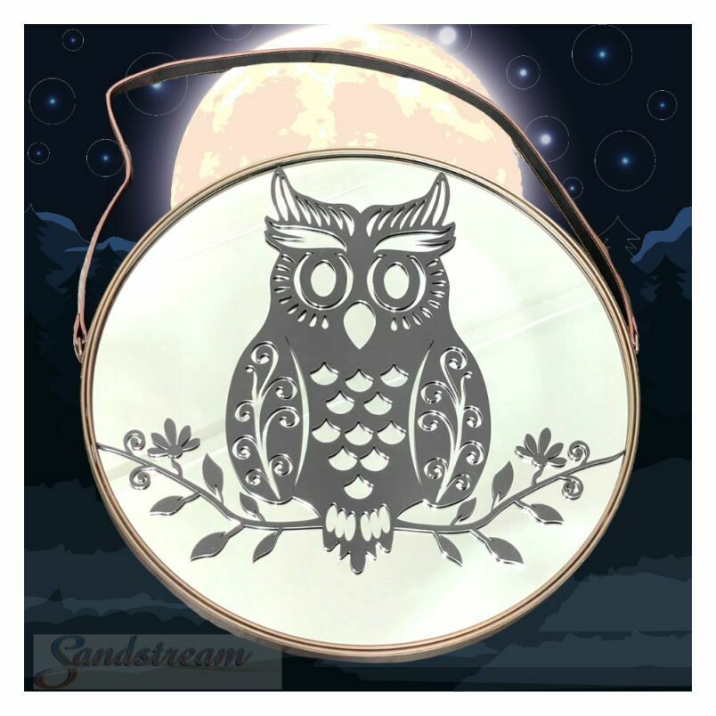 Owl Mirror