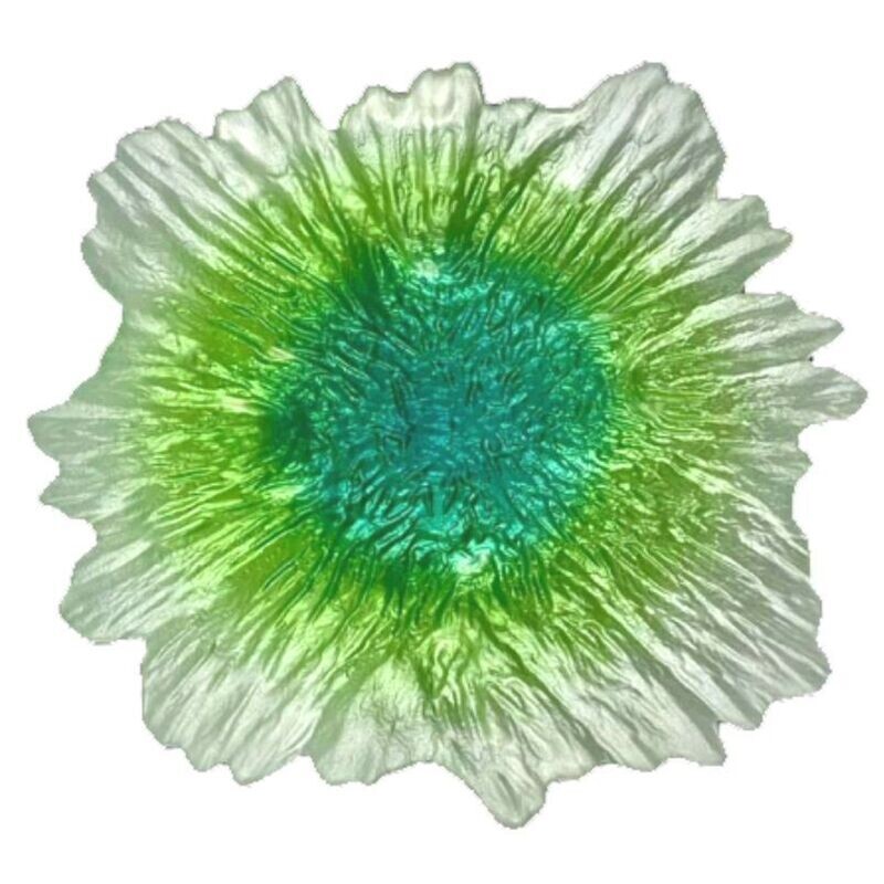 Lotus Glass Platter