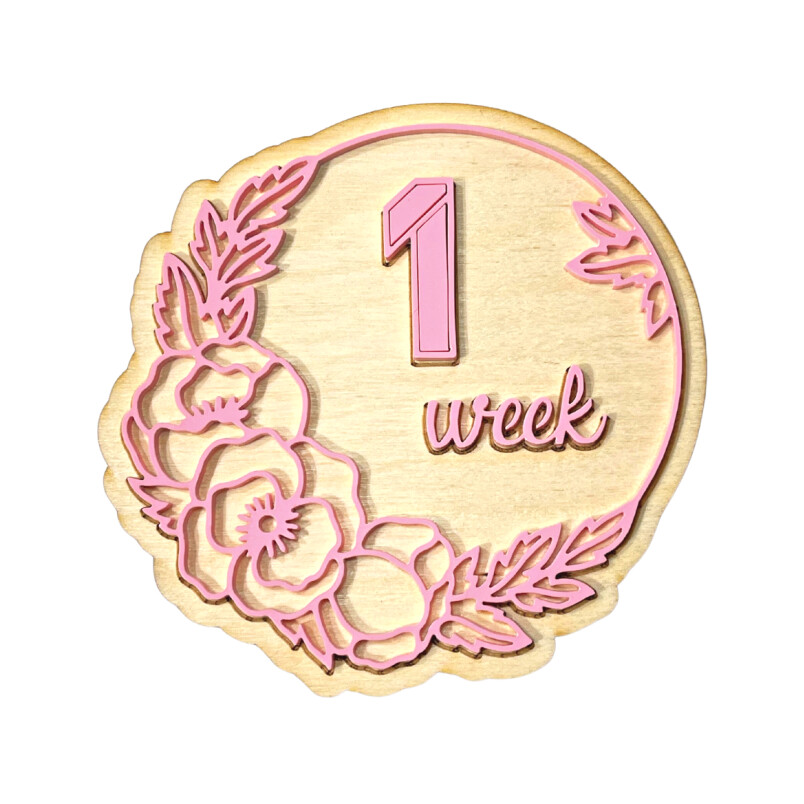 Baby Milestone Cards