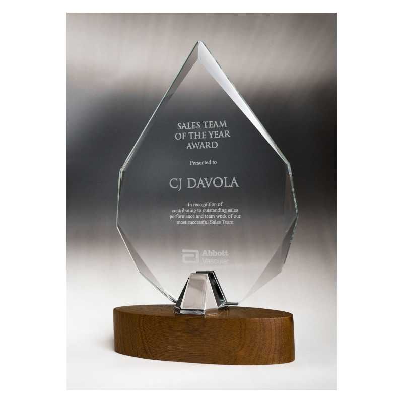 Venus Glass Arrowhead Award