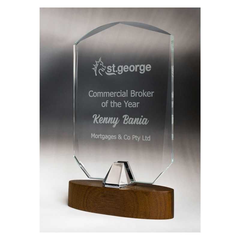 Venus Glass Rectangle Award