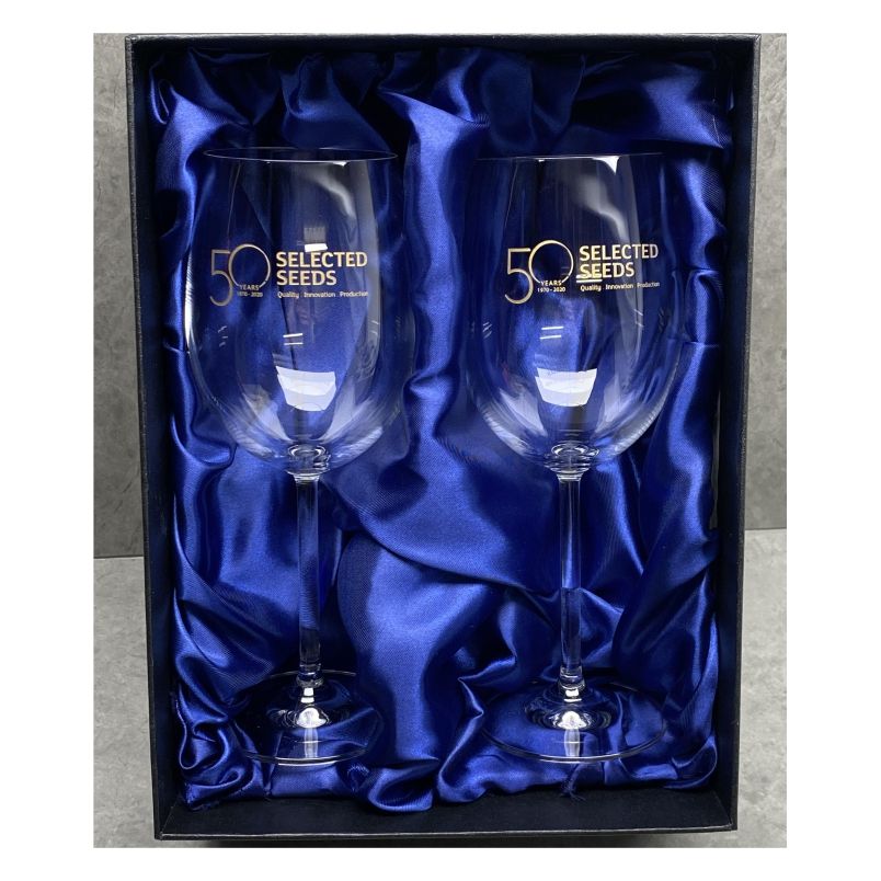Classic Wine Glass 450ml