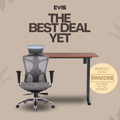 EVIS Smart Desk FE + ErgoPro Bundle