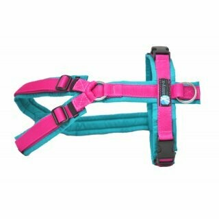 AnnyX Brustgeschirr petrol / pink AnnyX Brustgeschirr petrol / pink