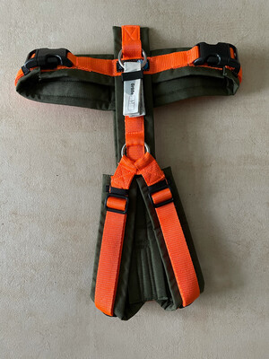 AnnyX Brustgeschirr oliv / orange AnnyX Brustgeschirr oliv / orange