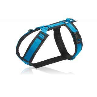 AnnyX Brustgeschirr schwarz / blau AnnyX Brustgeschirr schwarz / blau