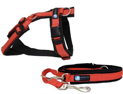 Annyx-Set schwarz / rot - Geschirr Gr.M + Leine Gr.L 2,0cm Annyx-Set schwarz / rot - Geschirr Gr.M + Leine Gr.L 2,0cm