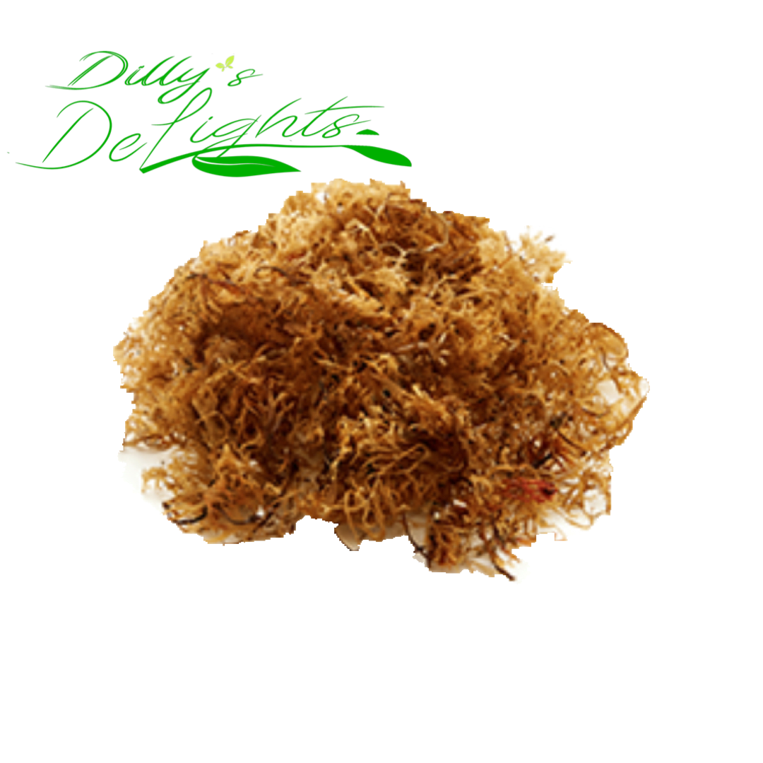 1oz Jamaican Raw Irish Sea Moss ( Ocean Grown and Sourced weighed wet  )