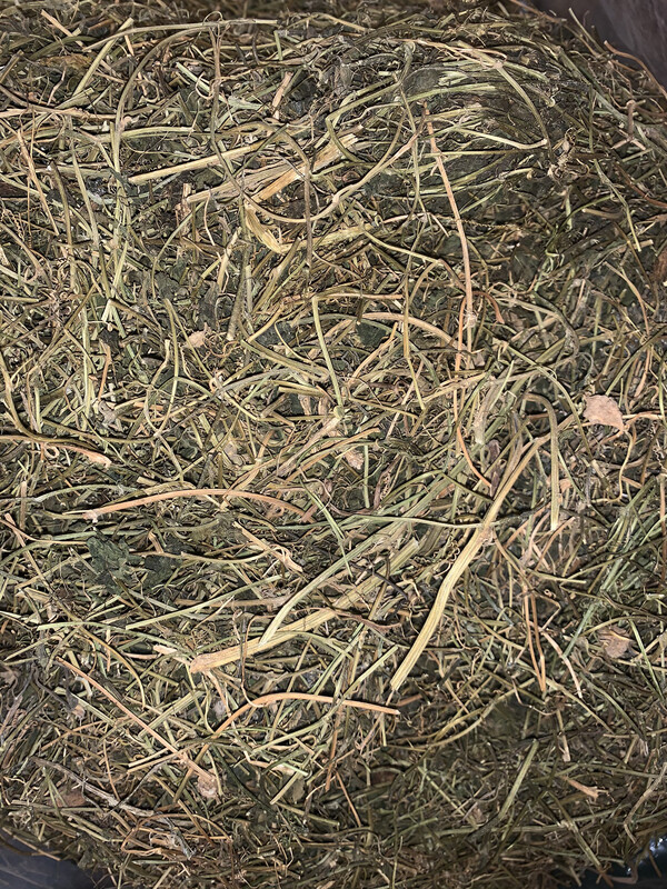 Jamaican Cerasee Leaf Tea