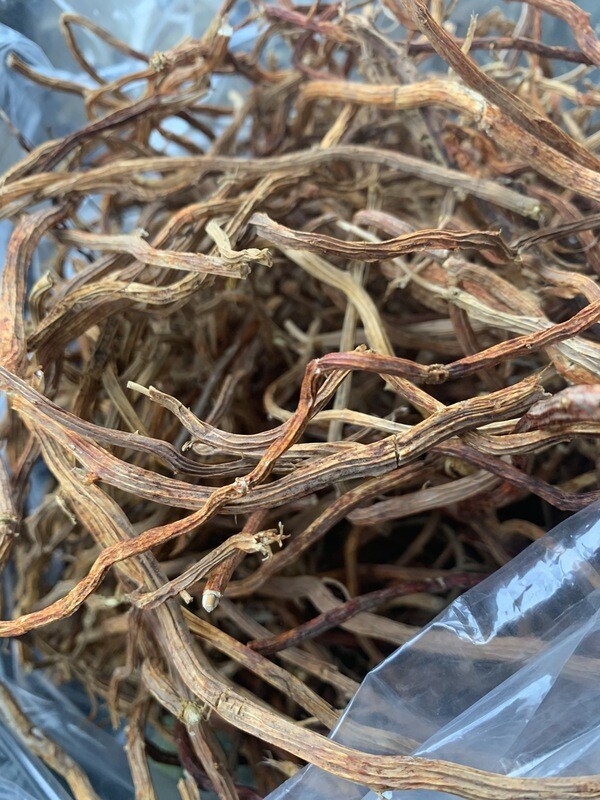 Sarsaparilla