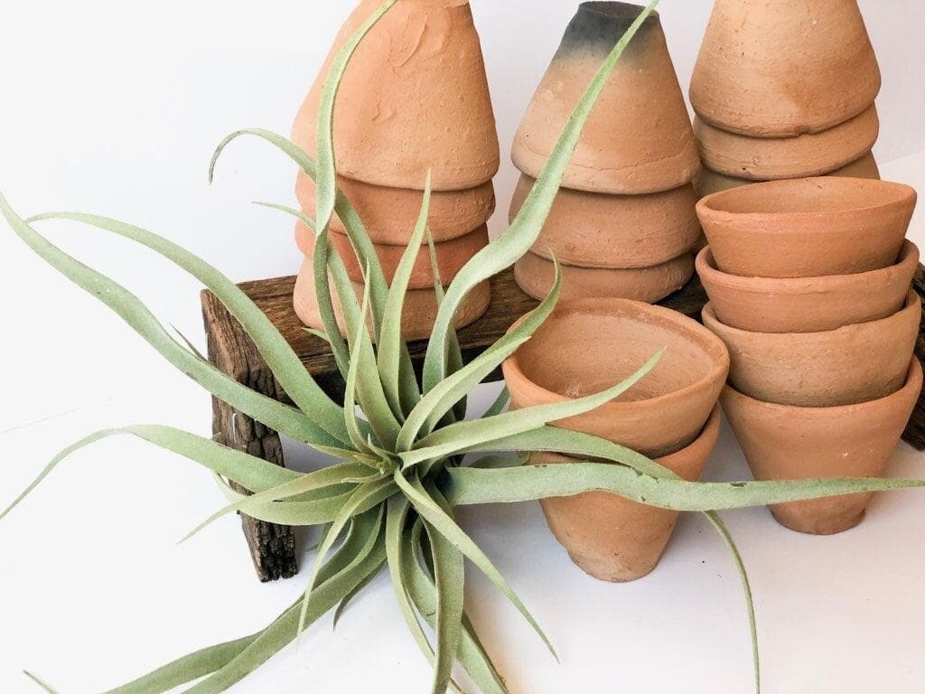 Tiny Terra Cotta Pots 3&quot; round x 2.5&quot; h