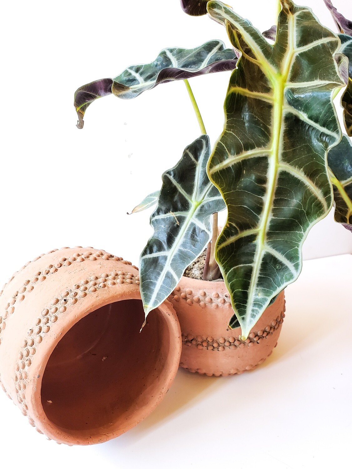 6-3/4&quot; Round x 6-1/4&quot;H Terra Cotta Planter