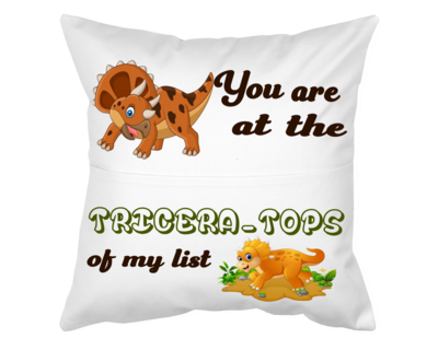 Pillow With Pocket: YOU ARE AT THE TRICERATOPS OF MY LIST