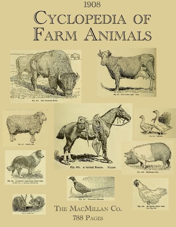$2 Download 1908 Cyclopedia of Farm Animals 788 pages