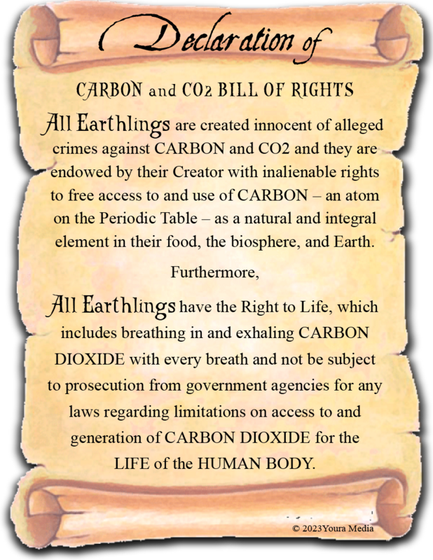 1 Declaration of Carbon  and CO2 Bill of Rights POSTER