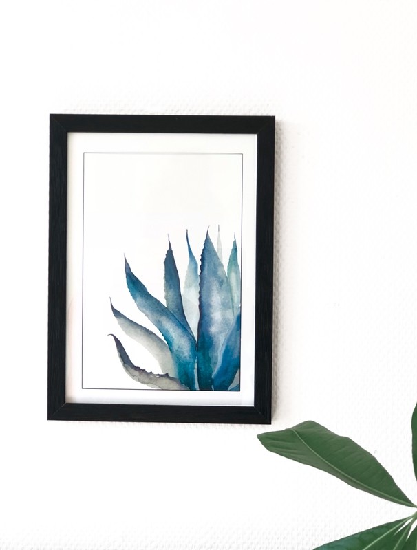 Blue Agave