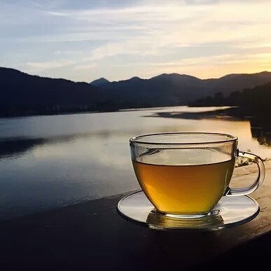Gantia 10 Tassen + 1 Tasse Extra
