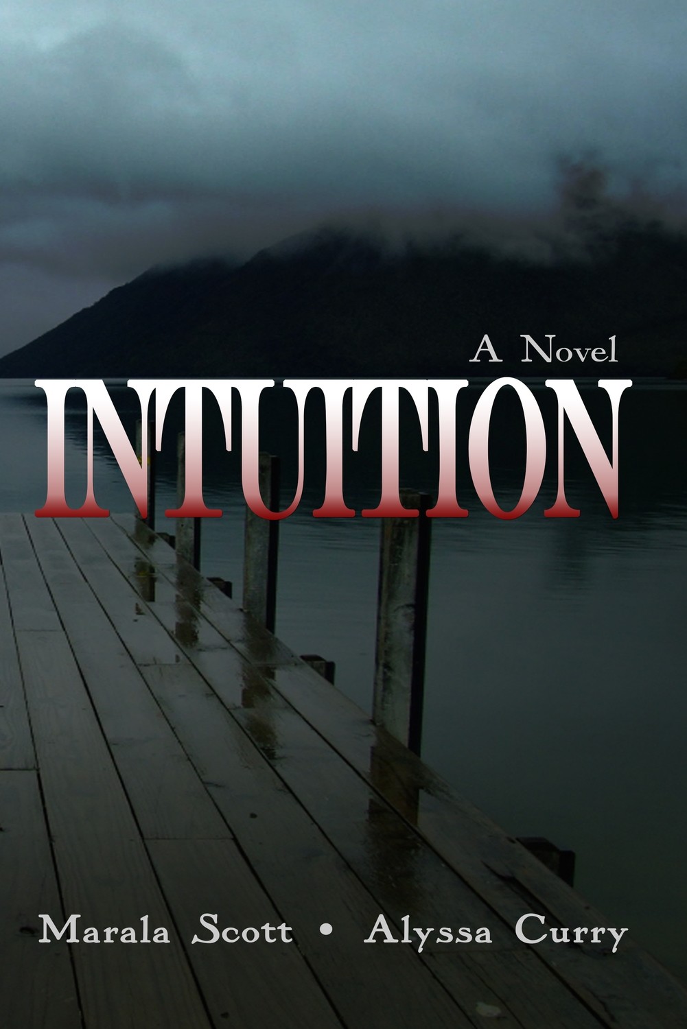 Intuition (Hardcover)