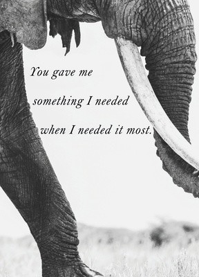 Premium Gratitude Cards: Elephant