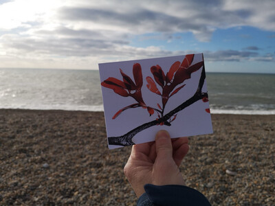Seaweed Print Notecard - Dulse