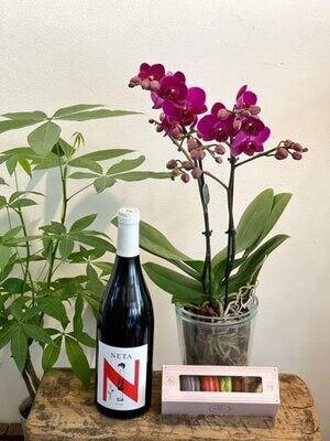 Orchid & Goodies